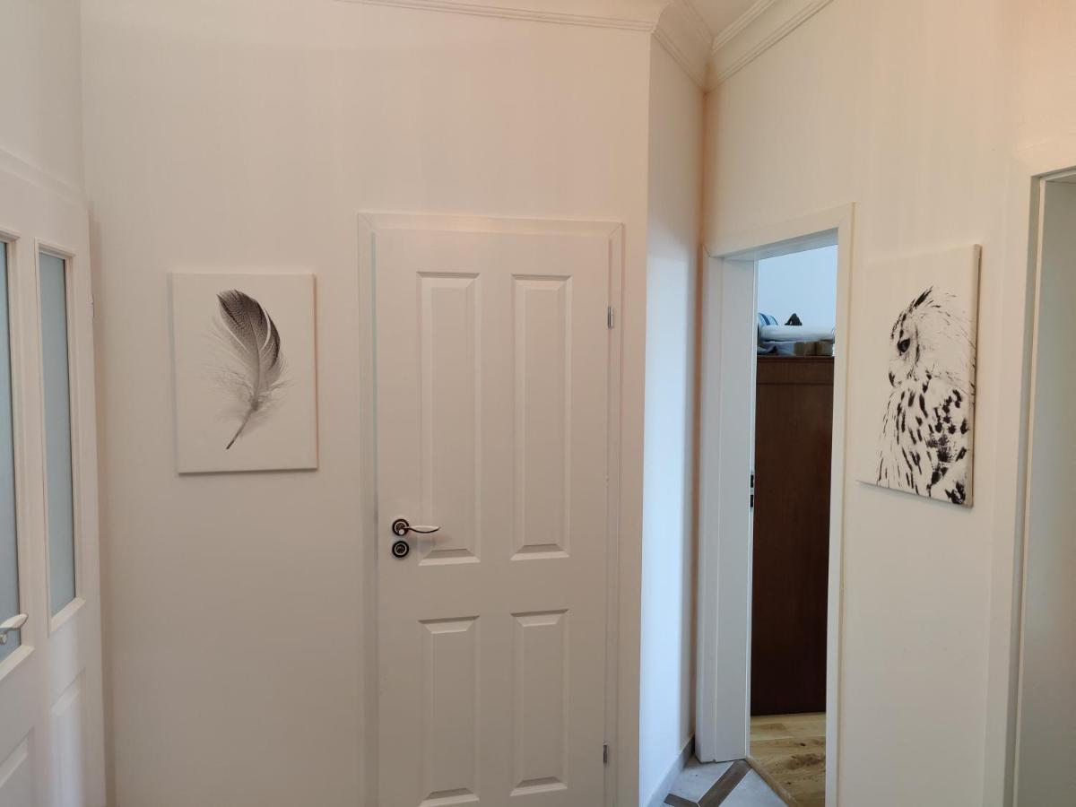 3Raumwohnung In Leipzig Am Voelkerschlachtdenkmal Экстерьер фото